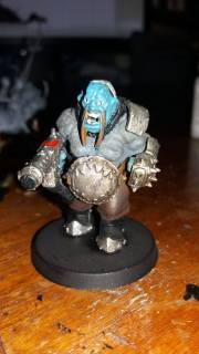 12914821_1311326115549625_1684106441_o